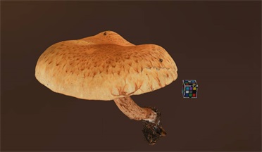  蘑菇食品饮料 蘑菇,食物gltf,glb模型下载，3d模型下载
