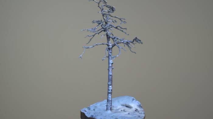 白雪覆盖的枯木石头植物树木,雪gltf,glb模型下载，3d模型下载