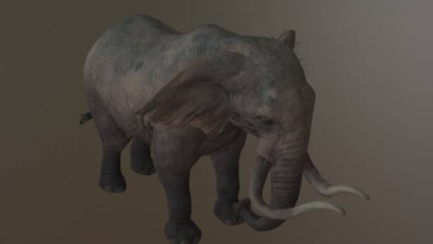 大象动画gltf,glb模型下载，3d模型下载