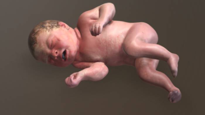 新生儿人物人物,小孩,新生儿gltf,glb模型下载，3d模型下载