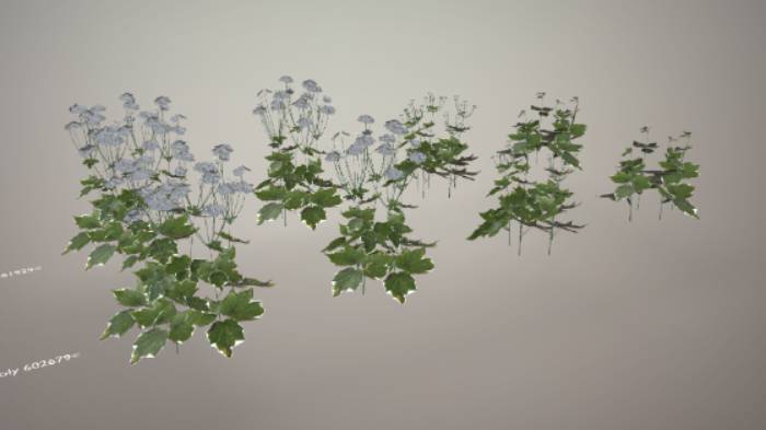 海葵花石头植物植物,海葵花,花草gltf,glb模型下载，3d模型下载