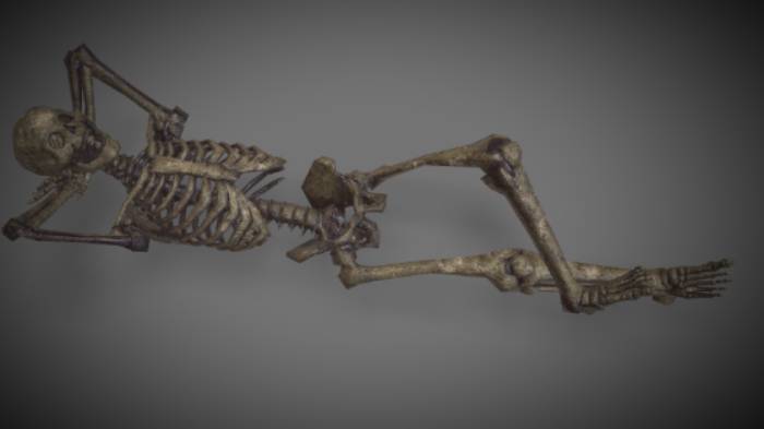人体骨骼人物骨骼,人物gltf,glb模型下载，3d模型下载