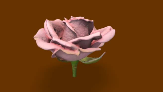 粉红玫瑰gltf,glb模型下载，3d模型下载