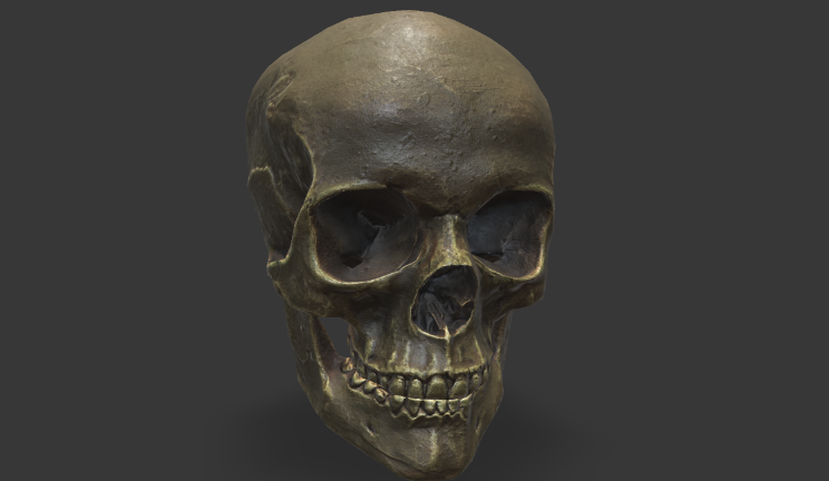 颅骨人物头骨,骨头,人体gltf,glb模型下载，3d模型下载