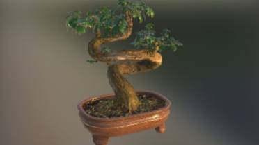 榕盆景石头植物植物,盆景gltf,glb模型下载，3d模型下载