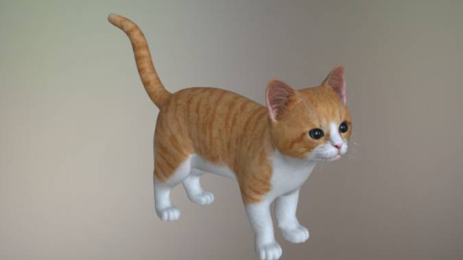 小猫动画gltf,glb模型下载，3d模型下载