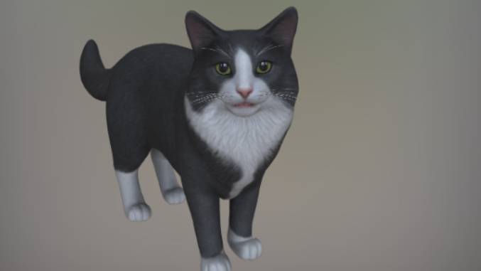 小猫咪动画gltf,glb模型下载，3d模型下载