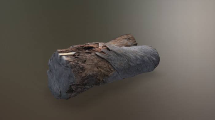 枯木石头植物枯木,树木gltf,glb模型下载，3d模型下载