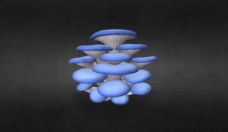 蓝色牡蛎蘑菇石头植物蘑菇,菌类gltf,glb模型下载，3d模型下载