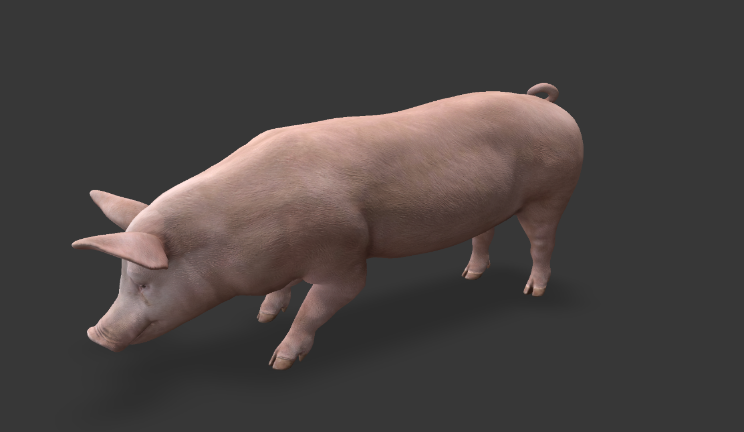 猪gltf,glb模型下载，3d模型下载