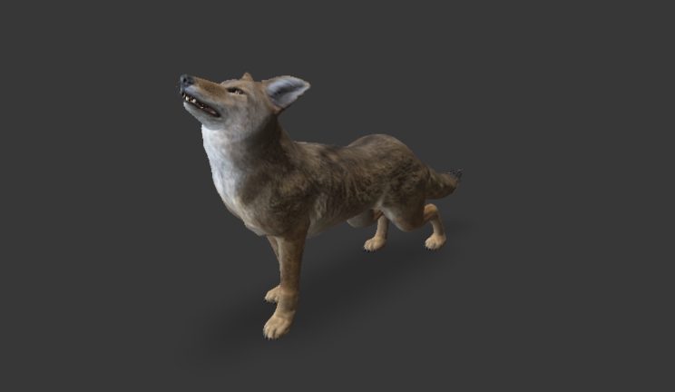 郊狼动物动物,野兽,狗gltf,glb模型下载，3d模型下载