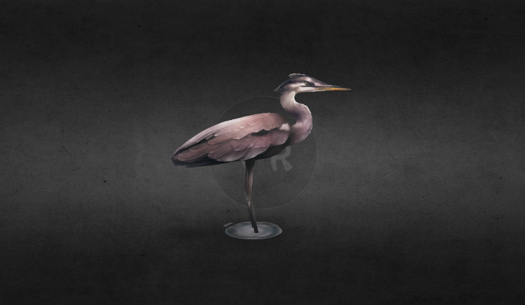 鹤动物动物,鸟,飞禽gltf,glb模型下载，3d模型下载