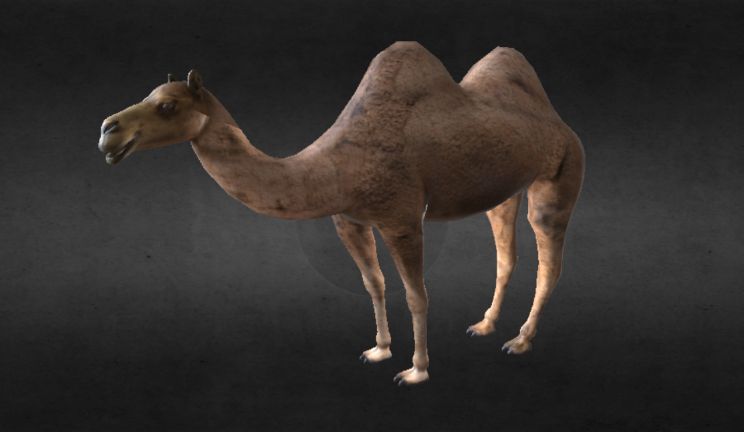 双峰骆驼gltf,glb模型下载，3d模型下载